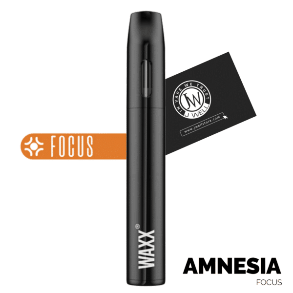 Waxx Mini Amnesia French Lab